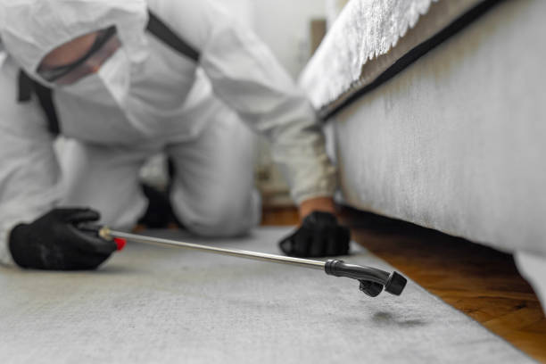 Professional Bed Bug Control technician working in Upper Brookville, NY